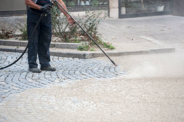 Best Animal Enclosure Cleaning  in Lake Panasoffkee, FL