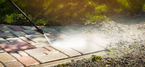 Best Soft Washing  in Lake Panasoffkee, FL